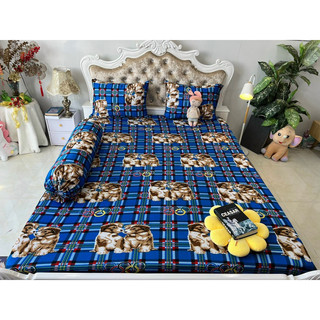 Bộ drap thun hàn quốc 4 món mát mịn