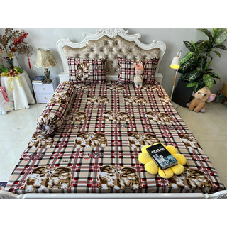 Bộ drap thun hàn quốc 4 món mát mịn