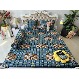 Bộ drap thun hàn quốc 4 món mát mịn
