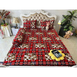 Bộ drap thun hàn quốc 4 món mát mịn