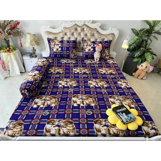 Bộ drap thun hàn quốc 4 món mát mịn