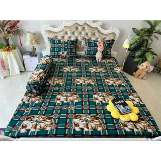 Bộ drap thun hàn quốc 4 món mát mịn