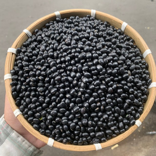 1KG ĐẬU ĐEN XANH LÒNG