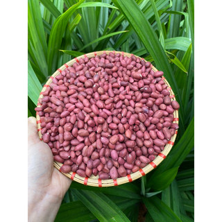 Lạc đỏ điện biên 500g