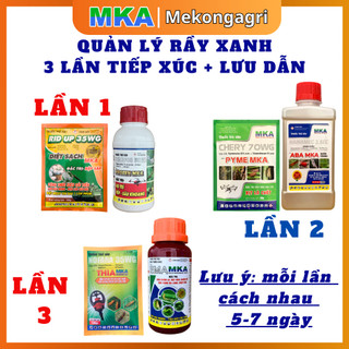 Quản lý rầy xanh - tiếp xúc + lưu dẫn