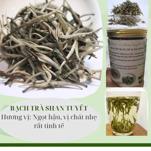 Bạch trà shan tuyết cổ thụ Hà Giang mùi thơm, vị nhẹ không gây mất ngủ 200g