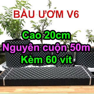 Cuộn 50m bầu ươm cây v6 cao 20cm