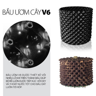 Cuộn 50m Bầu ươm cây V6 cao 20cm (tặng kèm 60 vít)