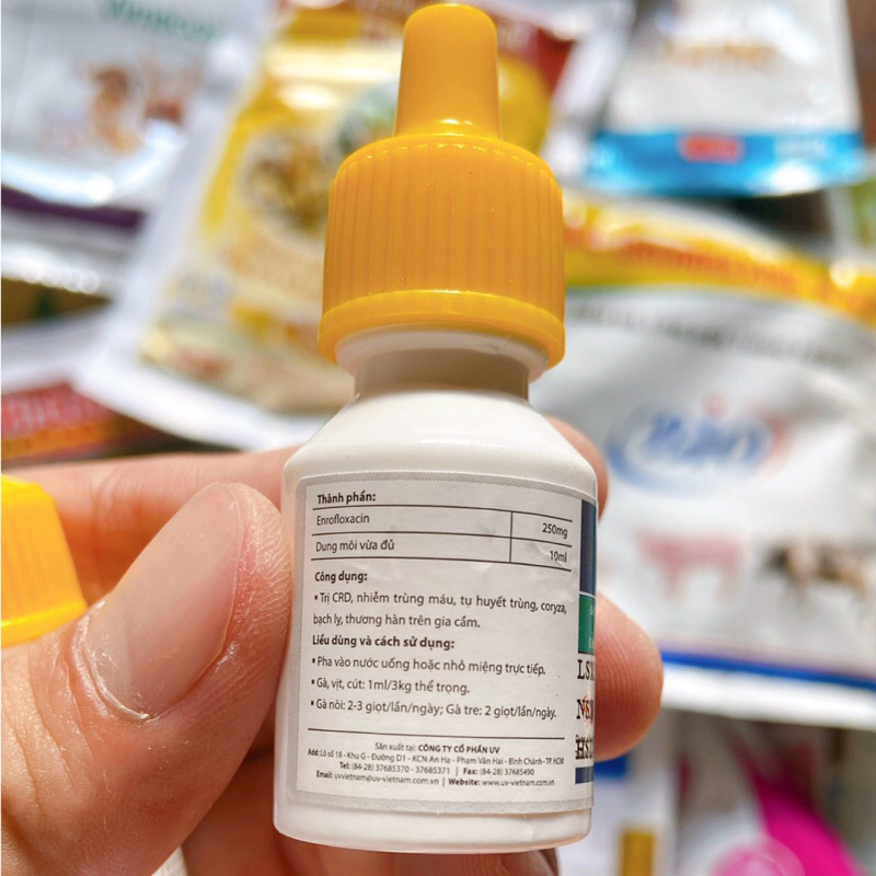 En10 dùng cho gà đá bị phân xanh, trắng, chướng diều ăn không tiêu