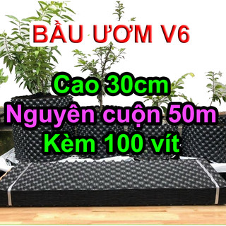 Cuộn 50m bầu ươm cây v6 cao 30cm