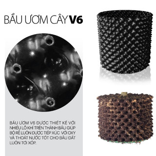 Cuộn 50m Bầu ươm cây V6 cao 30cm (tặng kèm 60 vít)