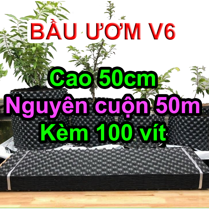 Cuộn 50m Bầu ươm cây V6 cao 50cm (tặng kèm 100 vít)
