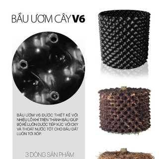 Cuộn 50m Bầu ươm cây V6 cao 50cm (tặng kèm 100 vít)