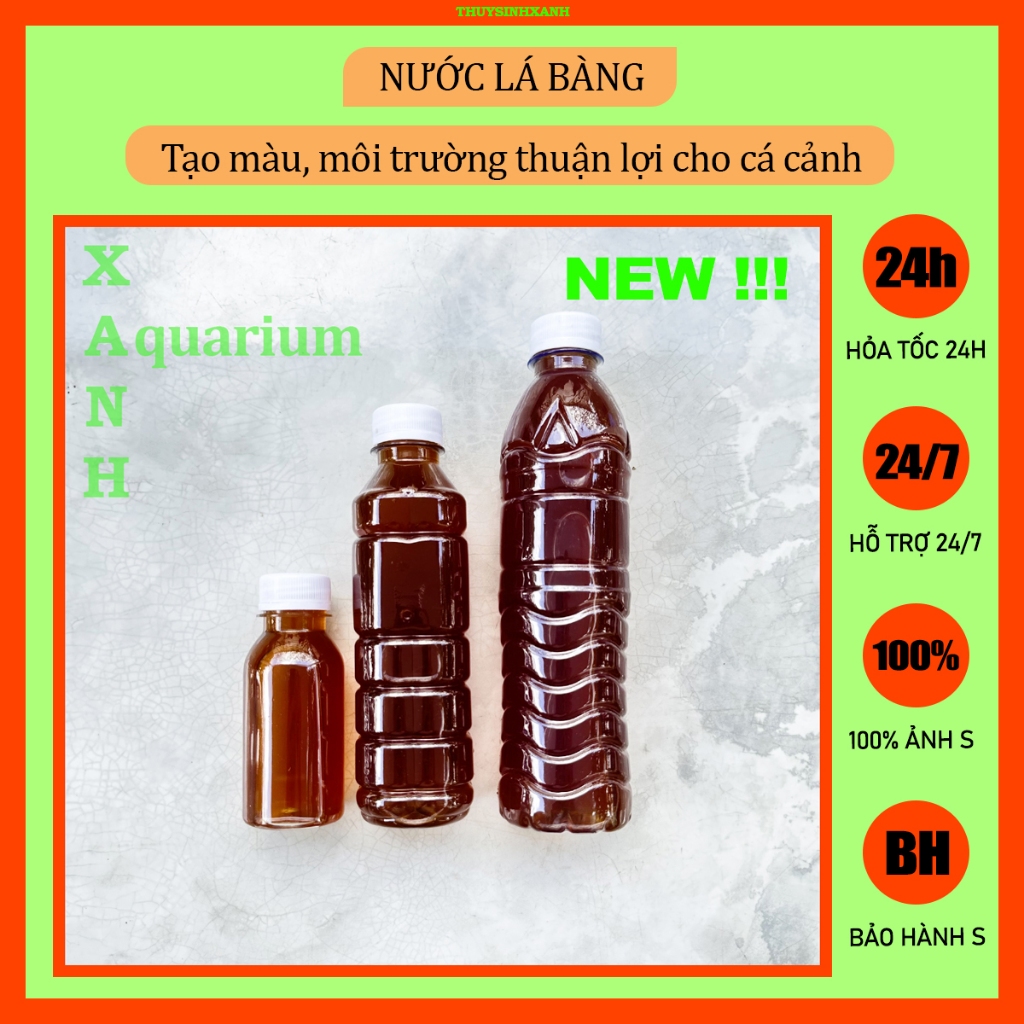 Nước lá bàng cho cá cảnh, thủy sinh