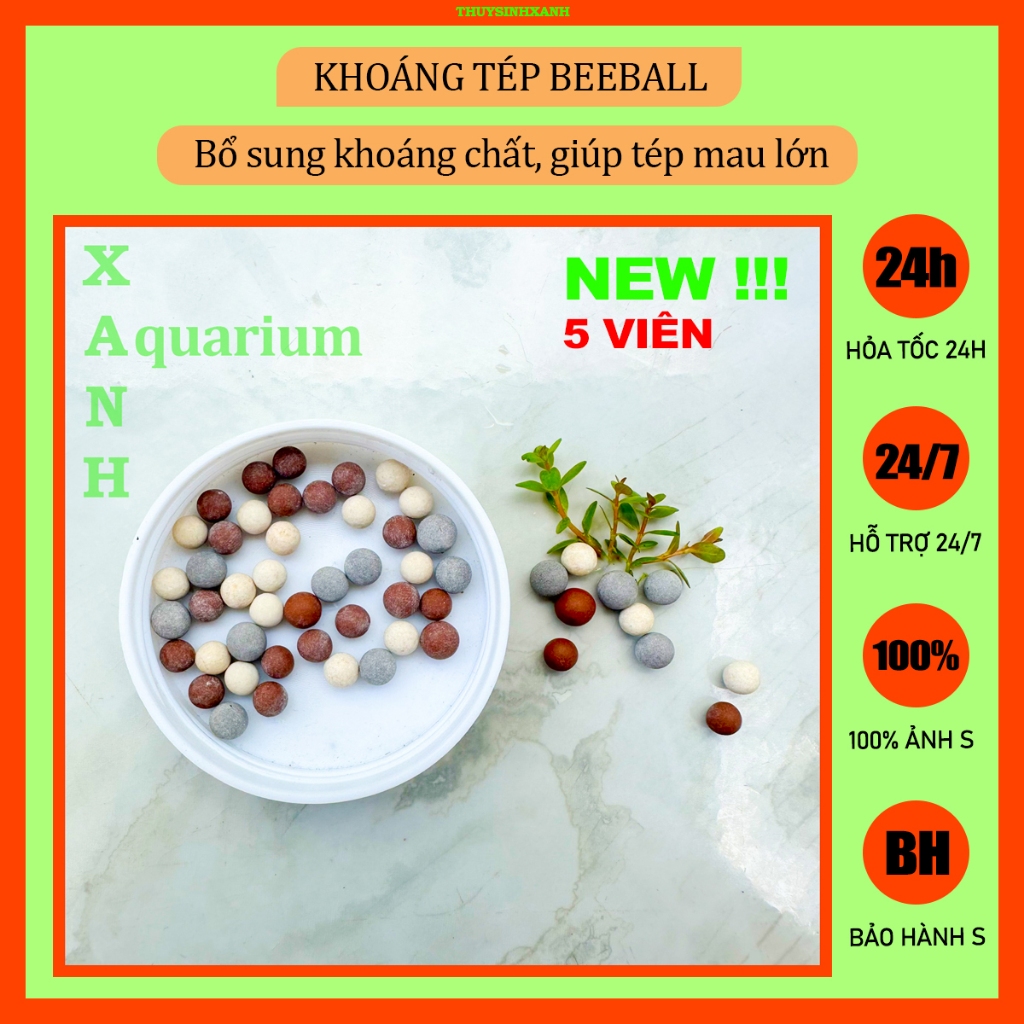 Khoáng tép cảnh Beeball