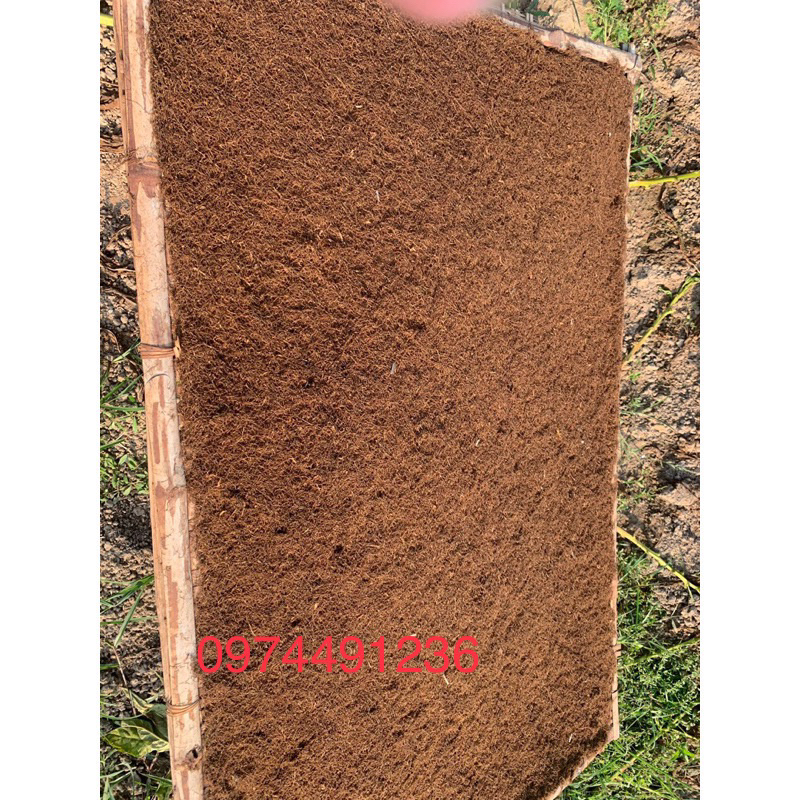 Lá lào quãng xương thanh hoá loại đặc biệt