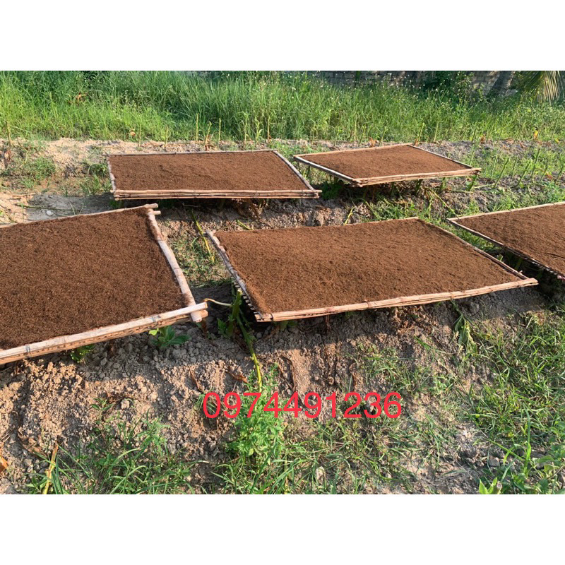 Lá lào quãng xương thanh hoá loại đặc biệt