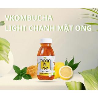 LIGHT KOMBUCHA 250ml VỊ TRÁI CÂY
