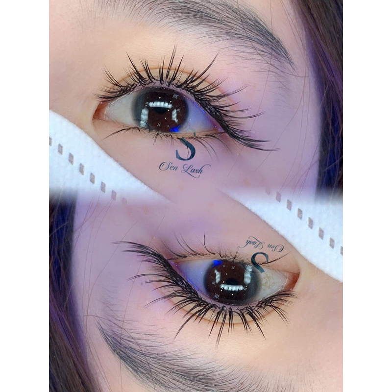 Mi khay Sen Lash độ cong J 0.07