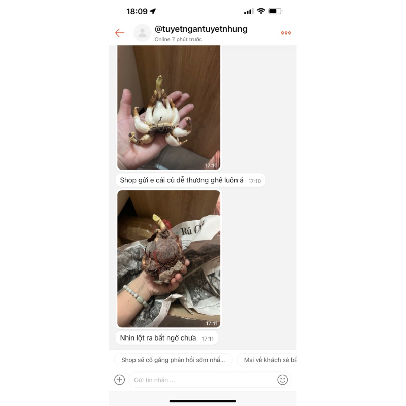 Củ thủy tiên nước