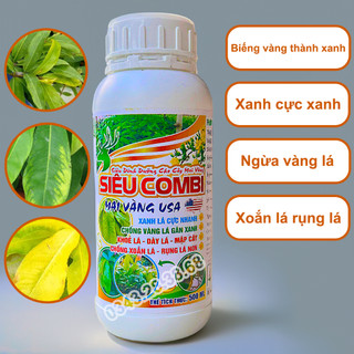 Phân bón siêu combi mai vàng xanh dày to lá cực nhanh chống vàng lá xoắn lá SCBTH500