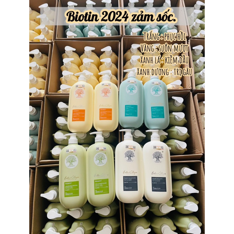 Dầu gội xả biotin collagen mẫu mới 2024