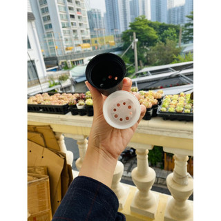 Chậu nhựa mini 5 cm- trồng sen đá, ươm cây con