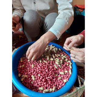 Lạc đỏ điện biên 500g