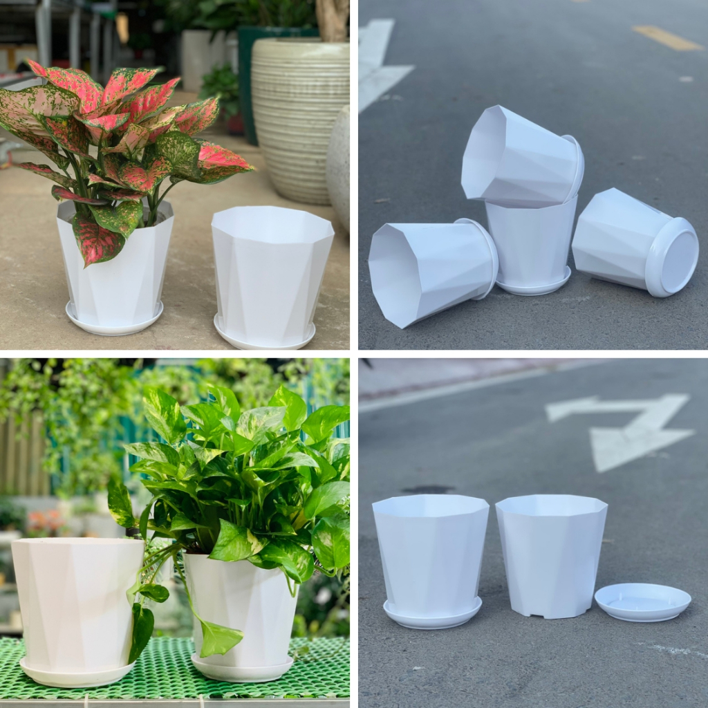 Chậu nhựa kim cương cao kèm đĩa lót tháo rời  trồng hoa, cây cảnh, kiểng để bàn siêu xinh
