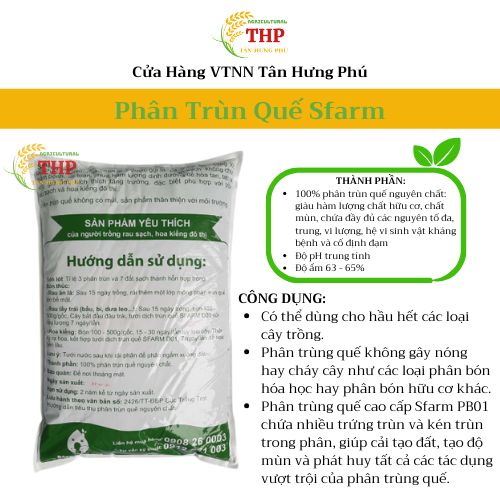 Phân Trùn Quế Cao Cấp