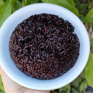 [ COMBO 2kg ] Gạo Lứt Đen Dẻo Điện Biên ( Gạo Loại 1 )