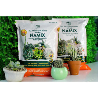 Đất trồng xương rồng, sen đá Namix 5dm3