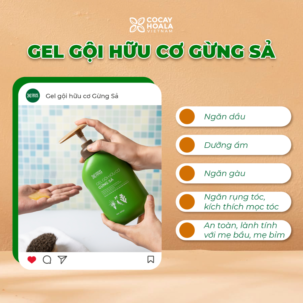 Dầu Gội Xả Hữu Cơ Gừng Sả COCAYHOALA VIETNAM - Ngăn dầu bết tóc và giảm gàu ngứa Dung Tích Travelsize 50g