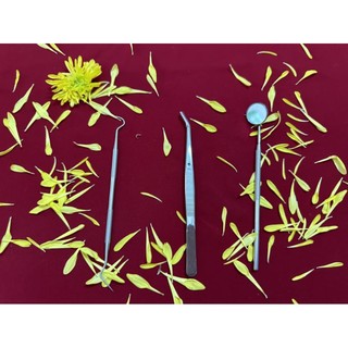 Bộ khám 4 chi tiết vệ sinh răng miệng dùng trong nha khoa