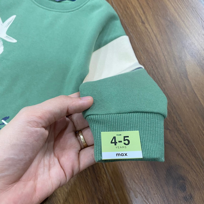 Áo nỉ bông bé trai hàng xuất dư xịn Max