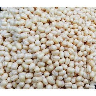 KITCHEN XPRESS URAD GOTA 500G
