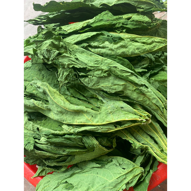 1kg lá đu đủ đực khô sấy lạnh