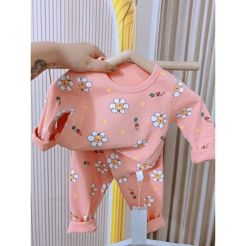 Bộ cotton xuất Hàn Anboa Ciboo