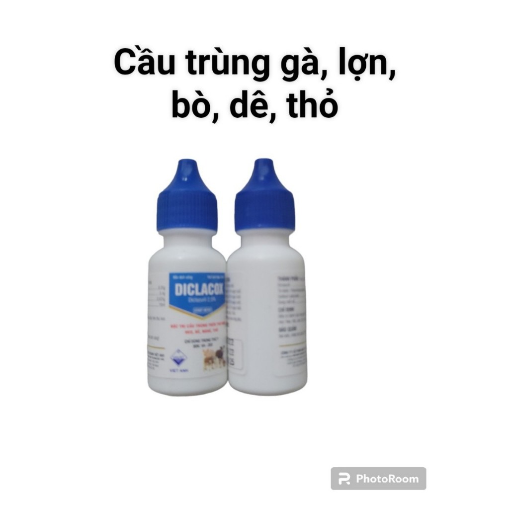 Diclazuzil 10ml Cầu trùng gà, thỏ, thú y