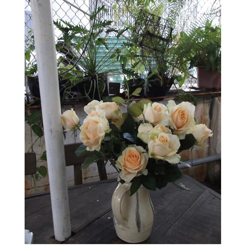 Máy ảnh vintage Fujifilm FinePix AV150