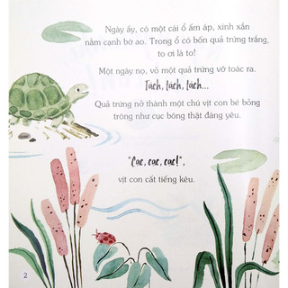 Sách - Ngủ Ngon Nhé, Vịt Con (Thuộc bộ Ngủ Ngon Nhé)
