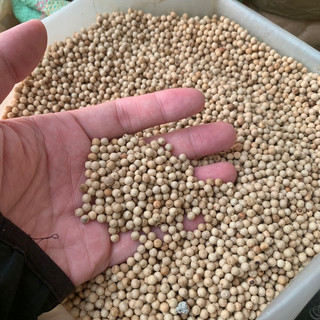 100G TIÊU SỌ CAY THƠM