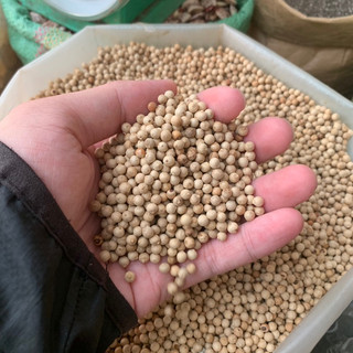 100G TIÊU SỌ CAY THƠM