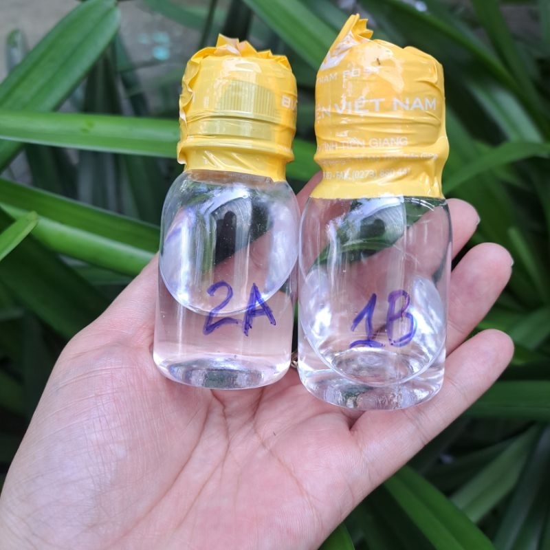 1 cặp keo 2 thành phần A &B