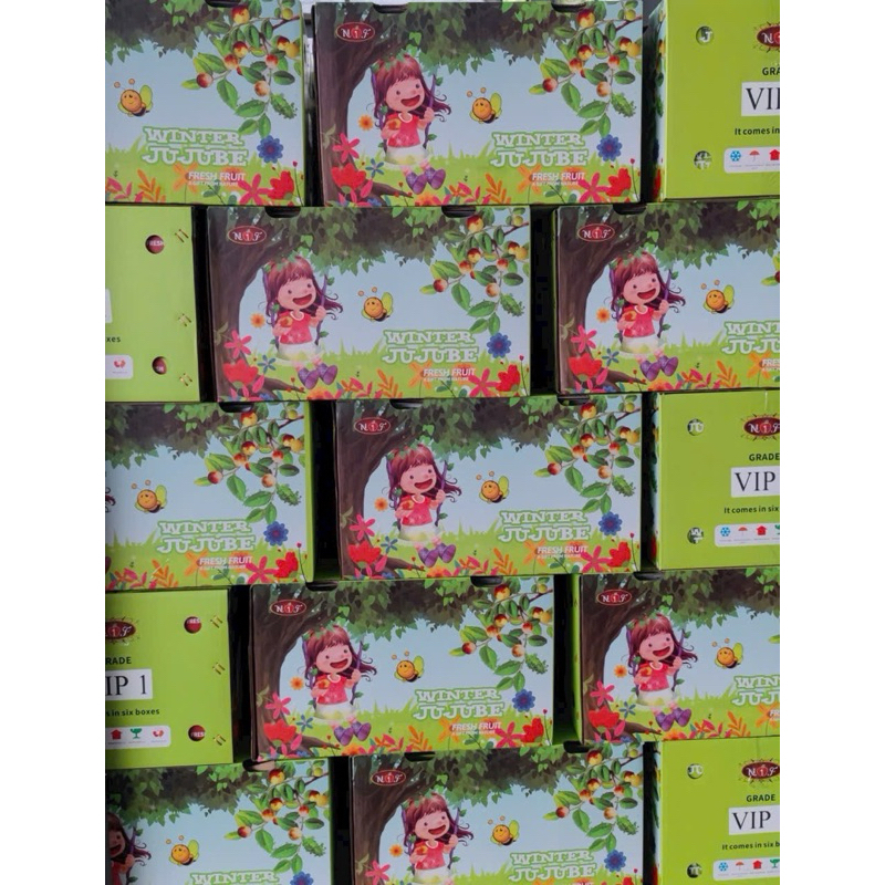 HỒNG TÁO TÀU JUJUBE VIP 1