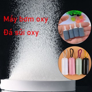 Đĩa sủi oxy siêu mịn cao cấp sủi đĩa oxy 4cm - 6cm combo đĩa sủi oxy và máy bơm oxy