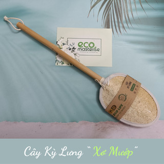 Cây kỳ lưng từ xơ mướp tự nhiên