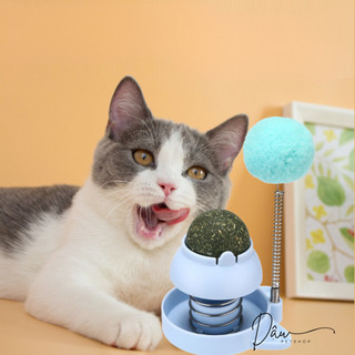 Catnip dán tường - Cỏ bạc hà cho mèo