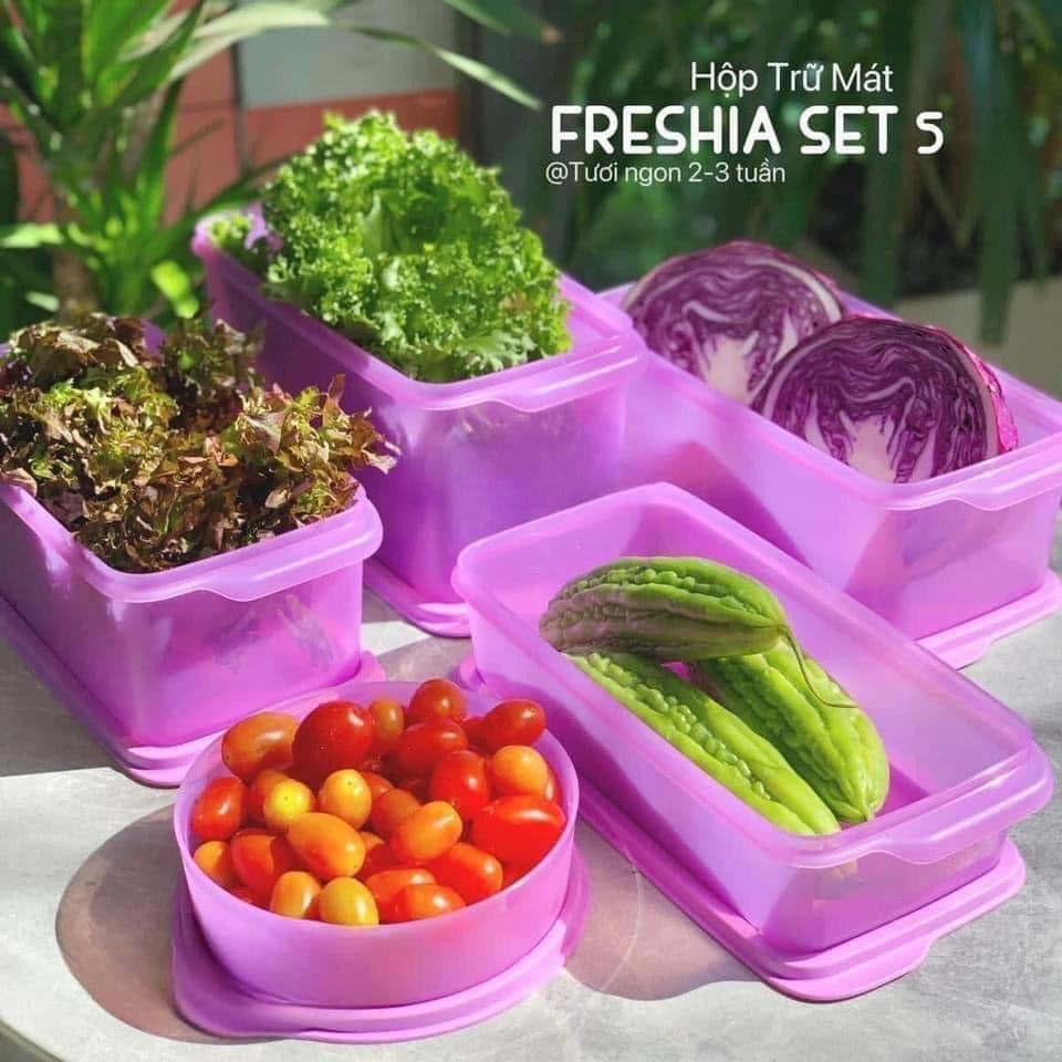 Hộp trữ mát tím Freshia Tupperware set 2 hộp 1.l + 3.1l  nhựa nguyên sinh an toàn, hộp tupperware