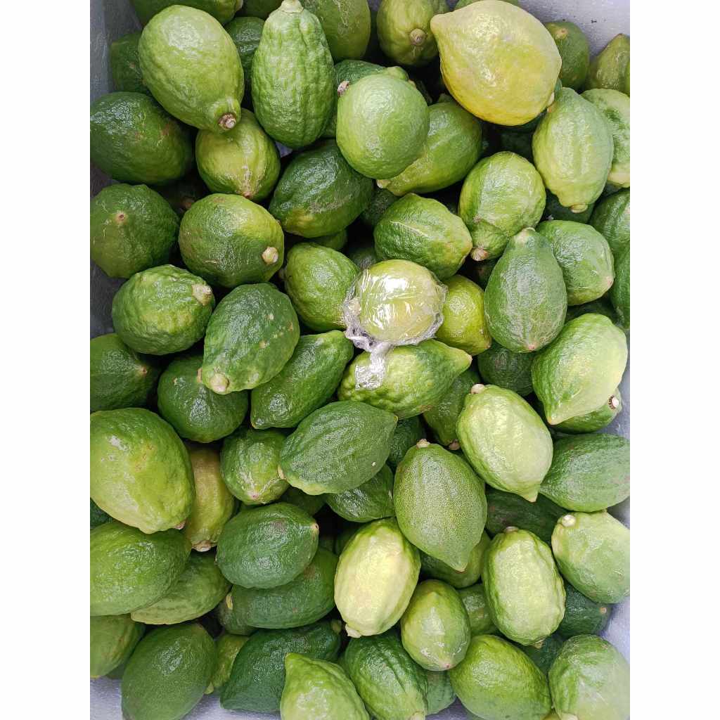 Chanh xanh quảng đông,chanh  nước hoa tươi làm trà chanh giã tay rất thơm ngon